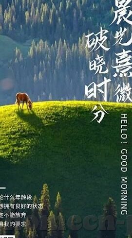足球全球比分网-足球全球比分网，球迷的数字战场与数据狂欢